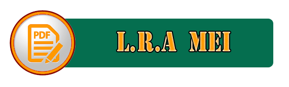 lra-mei.png